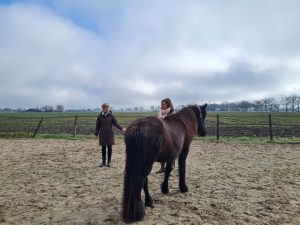 coaching-met-paarden-sessie-liv-jacqueline